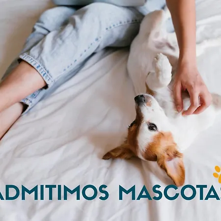 Alcocebre 3000 Апартаменты